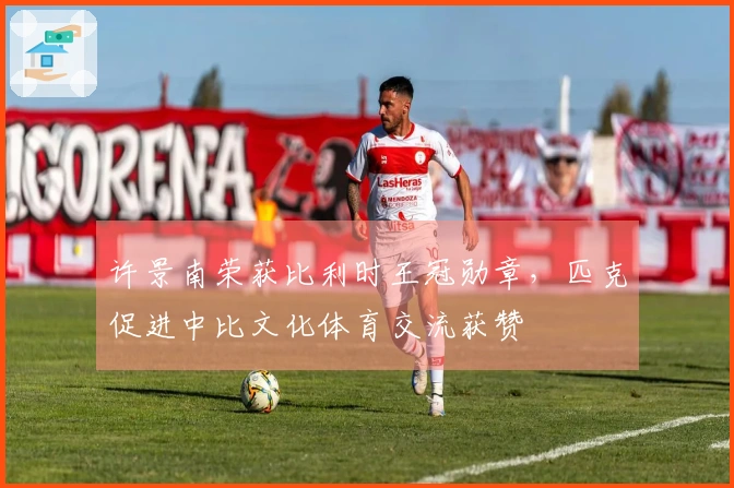 许景南荣获比利时王冠勋章，匹克促进中比文化体育交流获赞