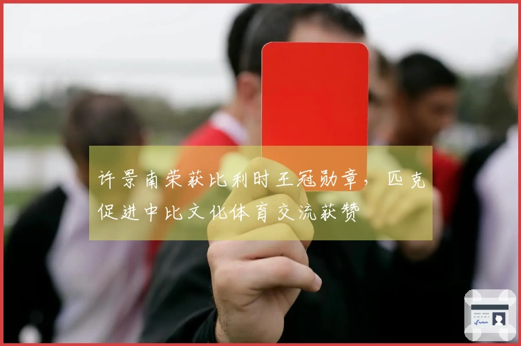 许景南荣获比利时王冠勋章，匹克促进中比文化体育交流获赞